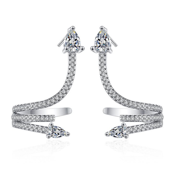 Trendy Snake Earrings