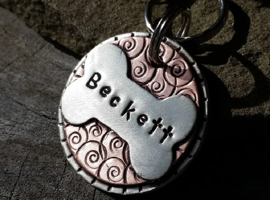 Best Custom Dog Tags: Keep Your Dog Safe