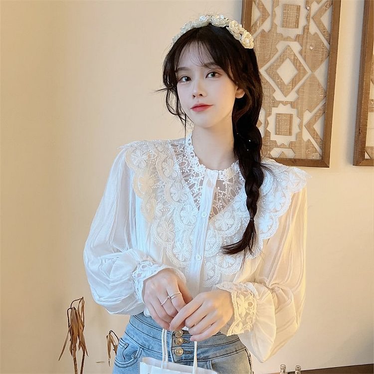 Long-Sleeve Lace Blouse YP4161
