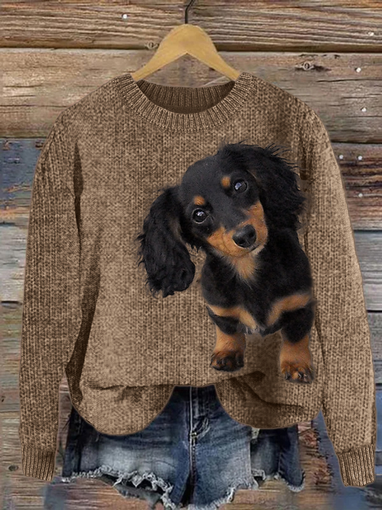 Dachshund cardigan best sale