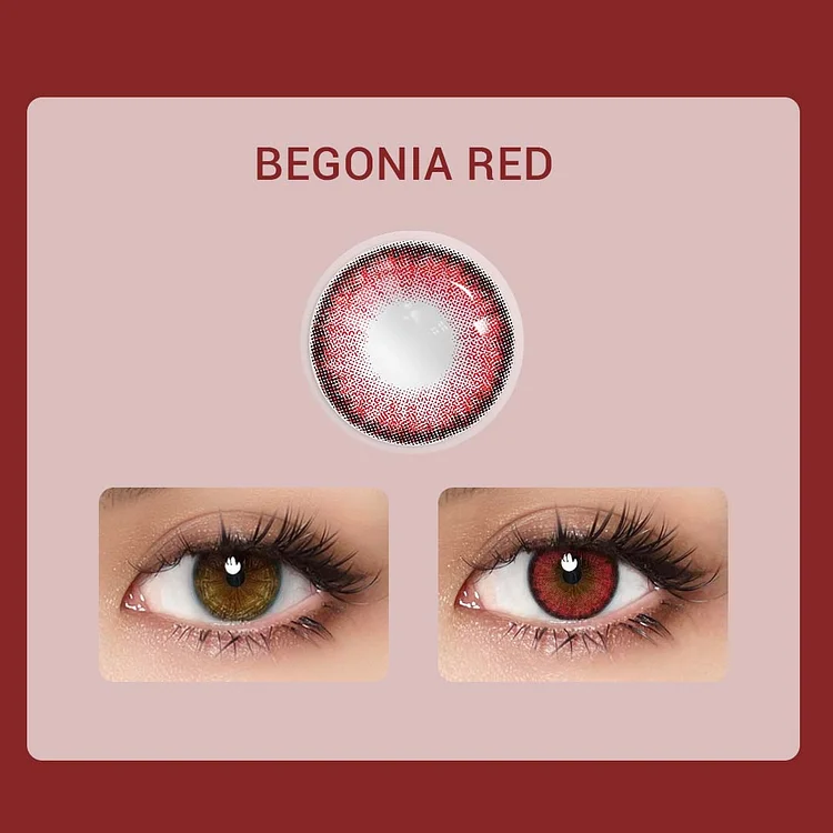 Aprileye Begonia Red