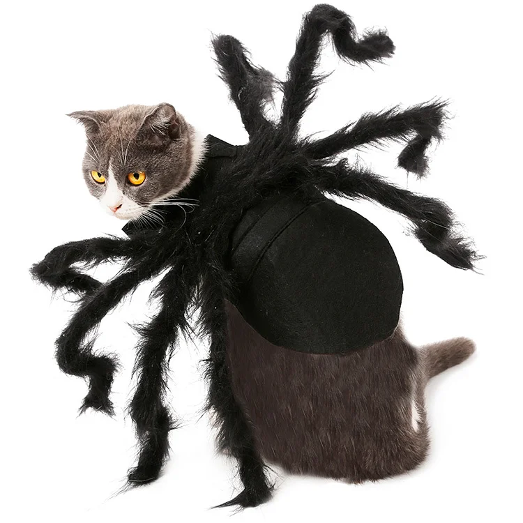 Spider Pet Disguise For Halloween, Christmas & Cosplay 1