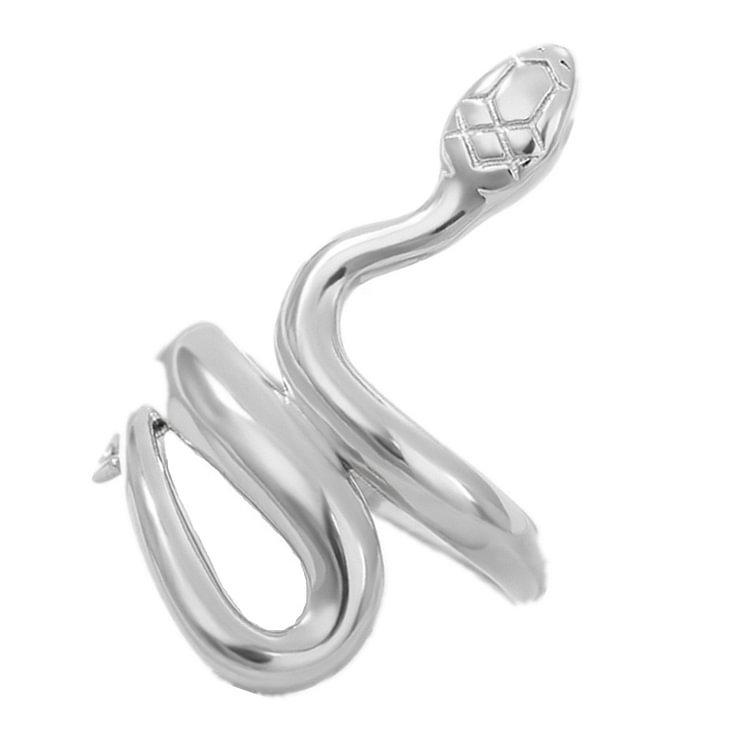 Snake Punk Hip Hop Stainless Steel Ring