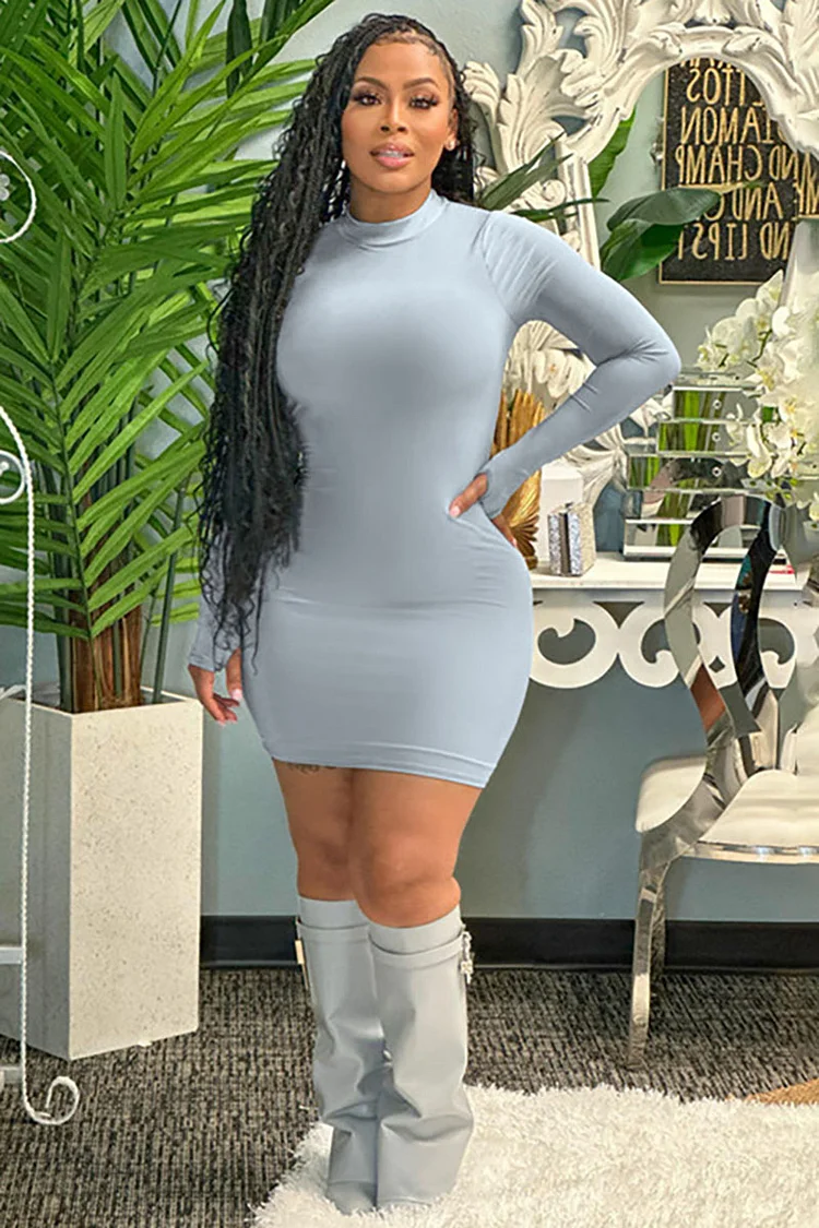 Mock Neck Long Sleeve Bodycon Plain Mini Dresses