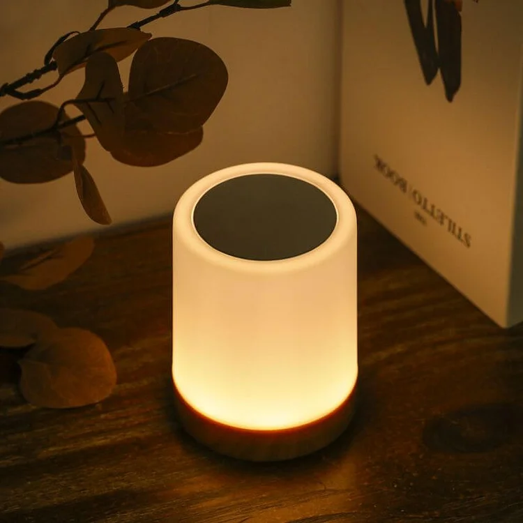 USB Rechargeable Touch Control Dimmable Table Lamp Warm White & RGB Night Light