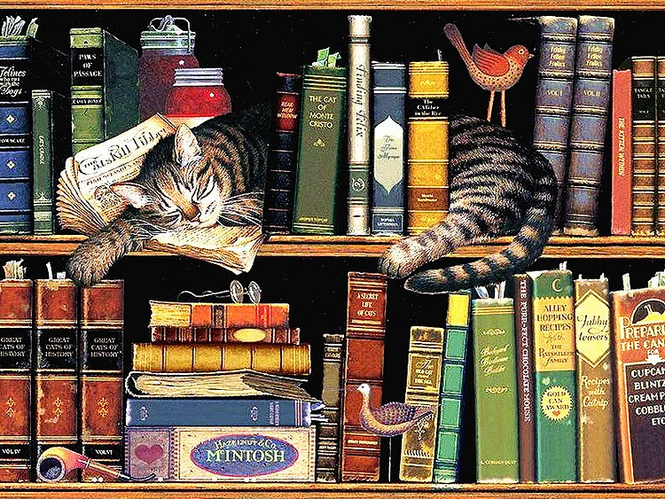 Bookshelf Cat 11CT Stamped Cross stitch 60*40CM