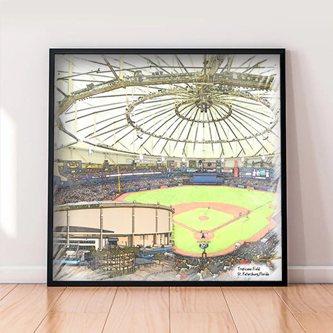 Tropicana Field Baseball Fan Tampa Bay Rays Drawing Tampa 