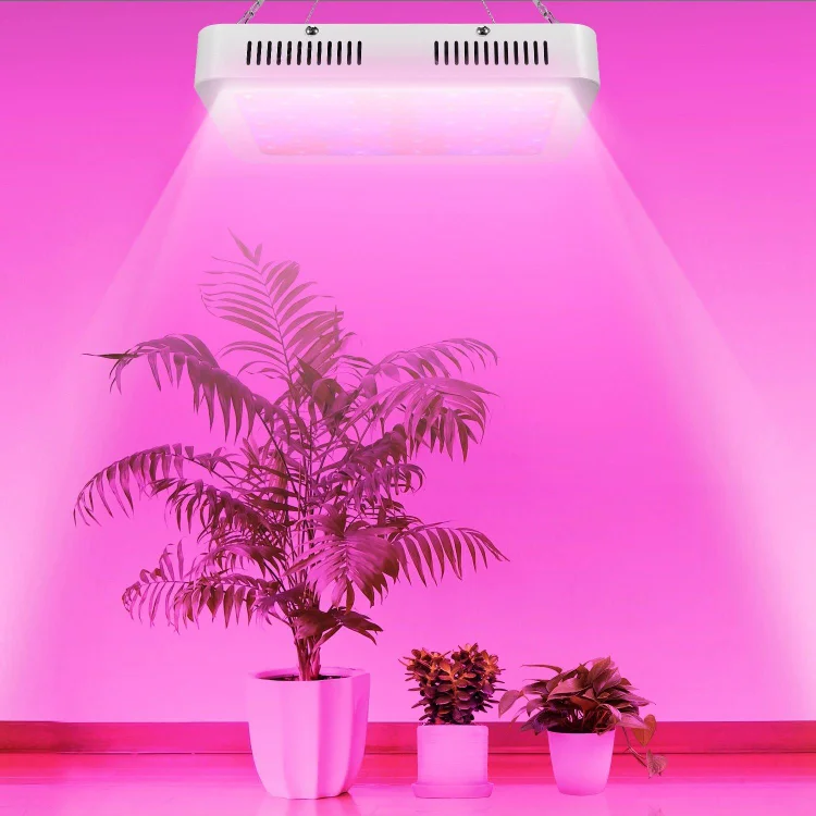 iMountek LED Plant Grow Lights 1000W
