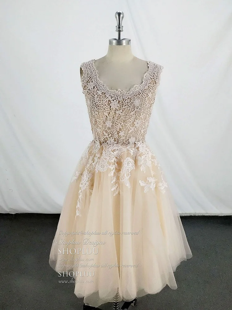 Champagne Tulle Lace Short Prom Dress, Tulle Lace Homecoming Dress