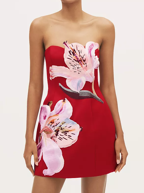 knee length dresses for ladies Rosario Appliqu Floral Bustier Mini Dress