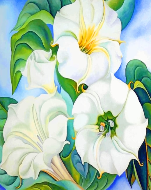 Georgia Okeeffe White Flowers – Aesthetic Paint By Numbers - 40*50CM, 501 Original
Georgia Okeeffe White Flowers – Aesthetic Paint By Numbers - 40*50CM, 501 Original