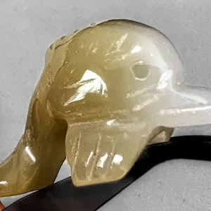 pornhint Pornhint Brazilian Agate Bottle Nose Dolphin Spirit Animal Totem Fetish Stone Figurine 7101