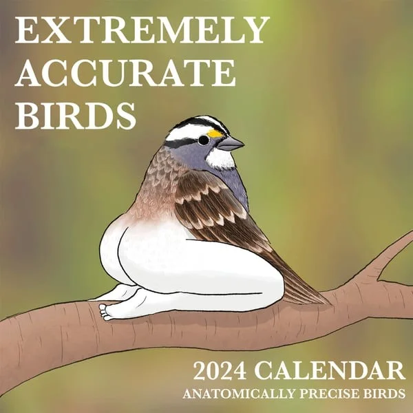 📅Christmas Sale 70% OFF -2024 CALENDAR OF EXTREMELY ACCURATE BIRDS 🐦
