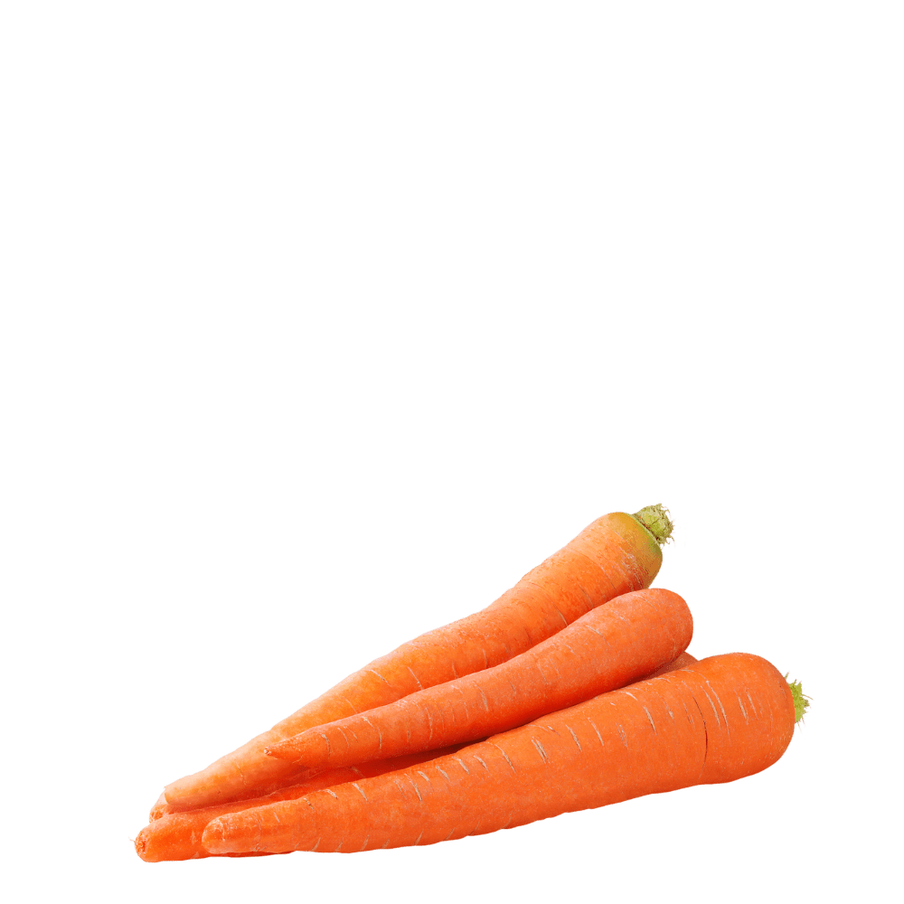 Heirloom Carrots Seeds - Red - Toro