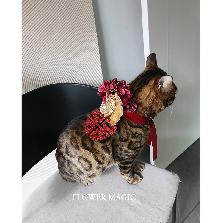 RED DOUBLE HAPPINESS words festive pet dowry dogs and cats special wedding tie photo decoration cute style lace-up flower scarf 花之魔法 ldooo