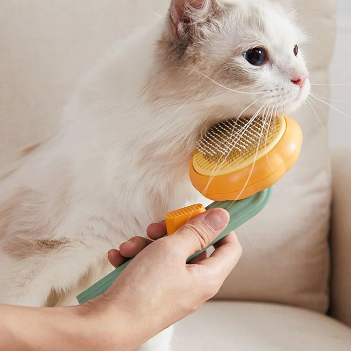 Pumpkin Pet Grooming Tool Pet Remove Hair Brush 1