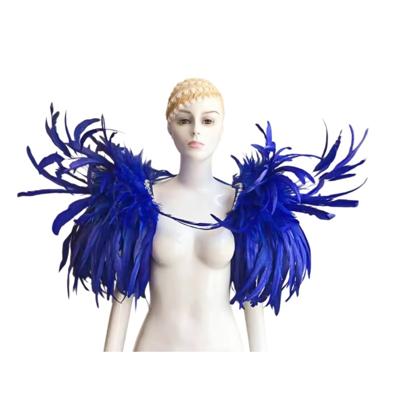 VCSHOES Dance party costumes evening gowns weddings street dances carnival costumes dance costumes belly dances Blue Feather Cloak
