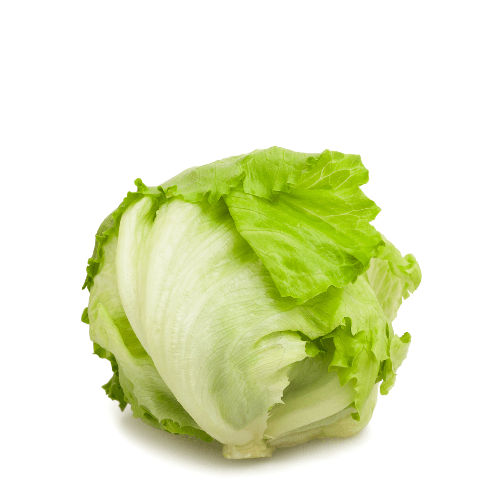 Lettuce Iceberg Seeds – Crisphead Variety