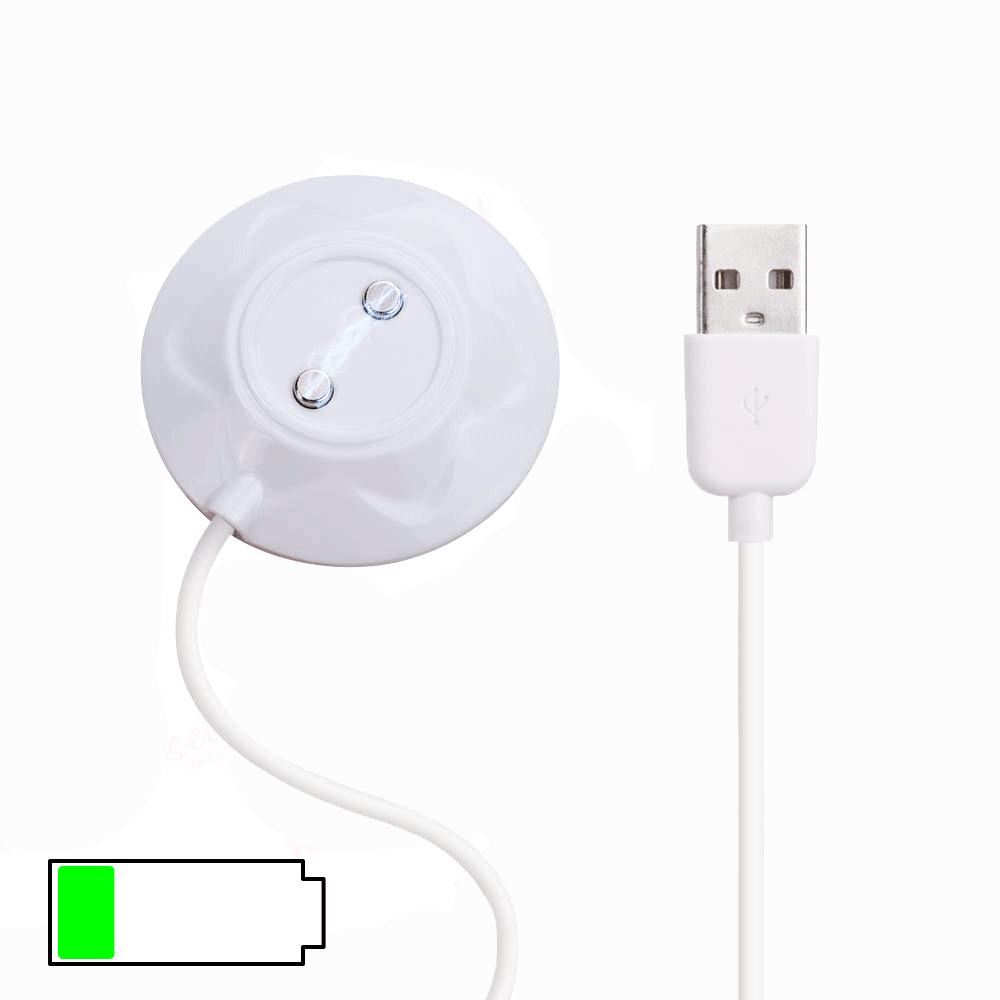 Rose Toy Charger | Rosetoy Official  2026 Upgraded, Fast Charging