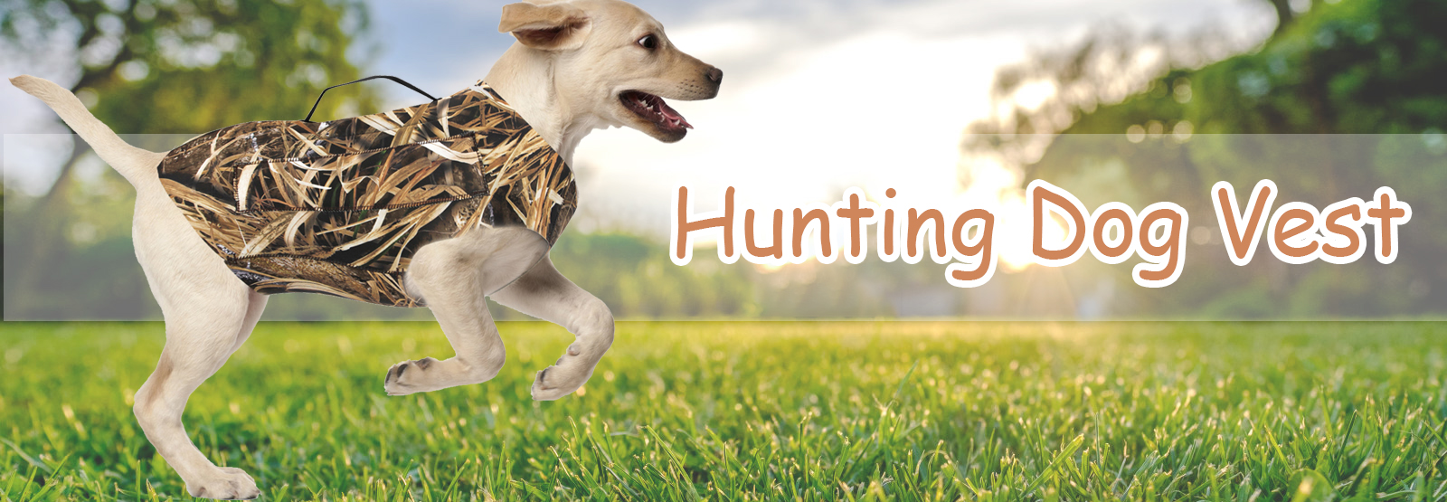 Hunting Dog Equipment GUGULUZA HUNTING