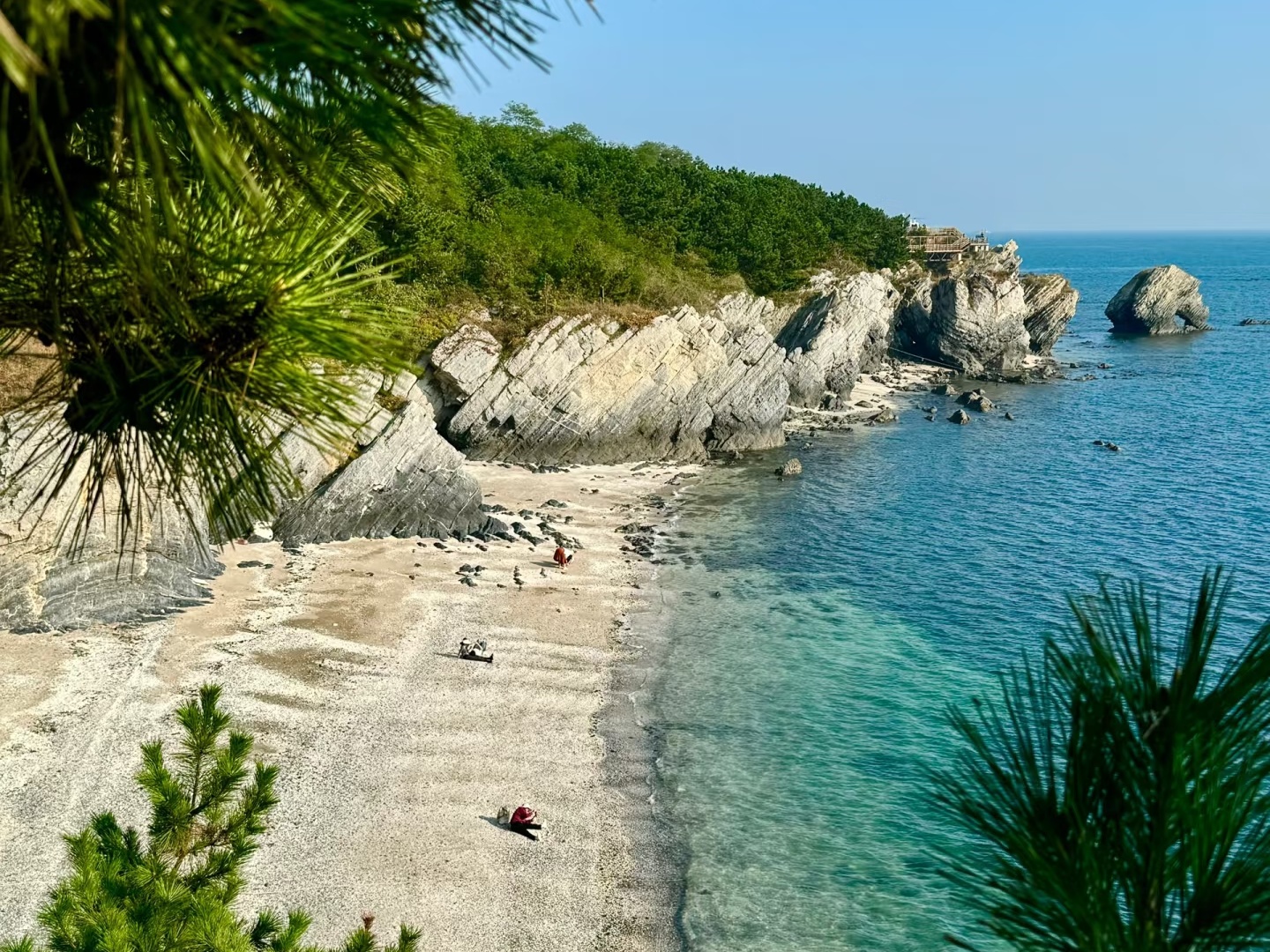 5-Day Dalian Tour: Coastal Wonders & Cultural Treasures-Summer Escape Tour-C1(Korean-speaking tour guide)