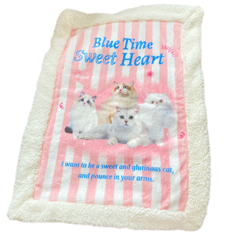Pet Sleeping pad