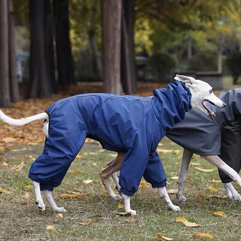 Italian Greyhound Water-proof Raincoat roarxlpet