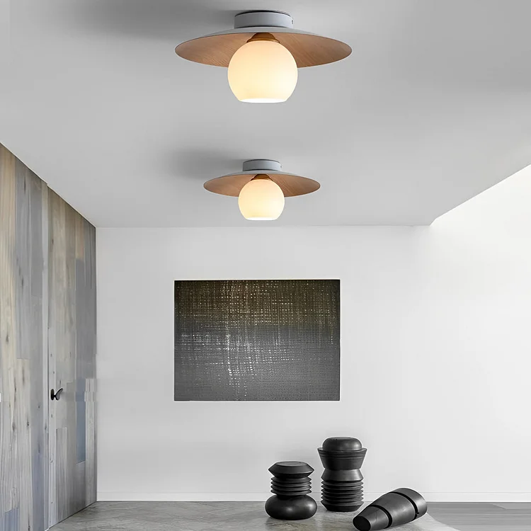 Minimalist Bowl-shaped LED Nordic Ceiling Light Flush Mount Lighting - Appledas