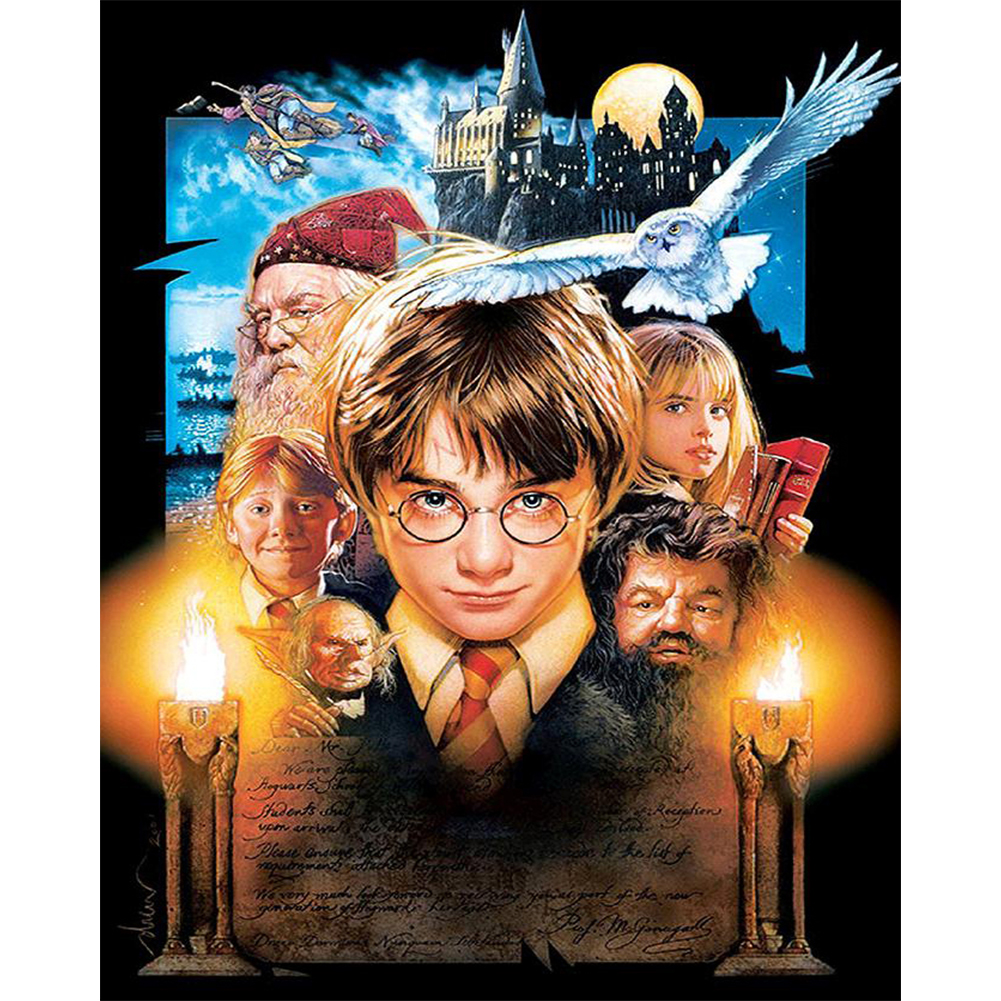 Wanted Harry Potter 40*50cm(canvas) full round drill diamond painting