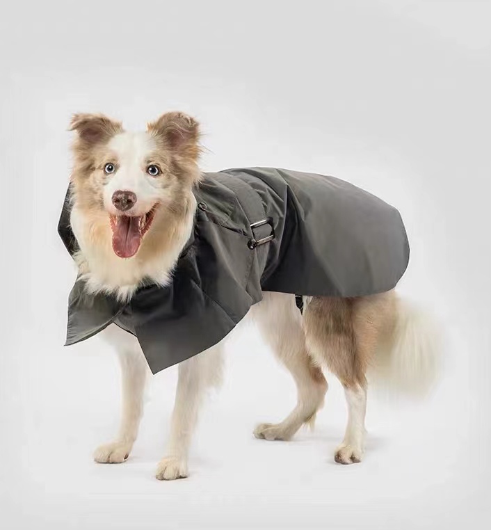 Dog Coat Windbreaker with Belt roarxlpet