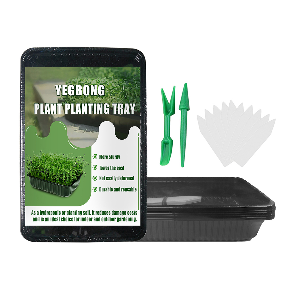 5 Sets Nursery Pot Seed Grow Seedling Box Greenhouse Plant Germination Tray, 501 Original
5 Sets Nursery Pot Seed Grow Seedling Box Greenhouse Plant Germination Tray, 501 Original