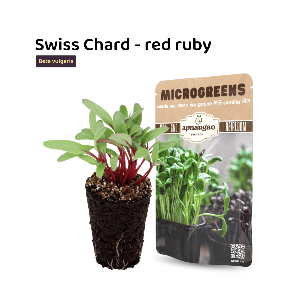 Swiss Chard Red Ruby Microgreens Seeds – Vibrant, Sweet & Nutritious