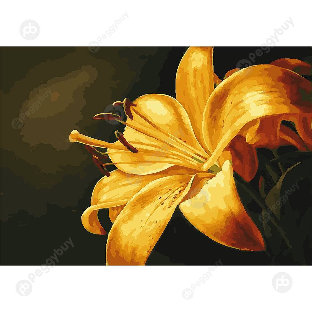 DIY Oil Painting By Numbers Set Flowers Modern Color Drawing Canvas Decor, 501 Original
DIY Oil Painting By Numbers Set Flowers Modern Color Drawing Canvas Decor, 501 Original