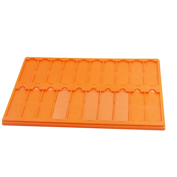 Plastic Microscope Slide Tray; 20 Capacity