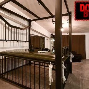 pornhint Pornhint BDSM BED - BONDAGE - Prison Bondage Bed- Classic Bdsm Details - Included Matress