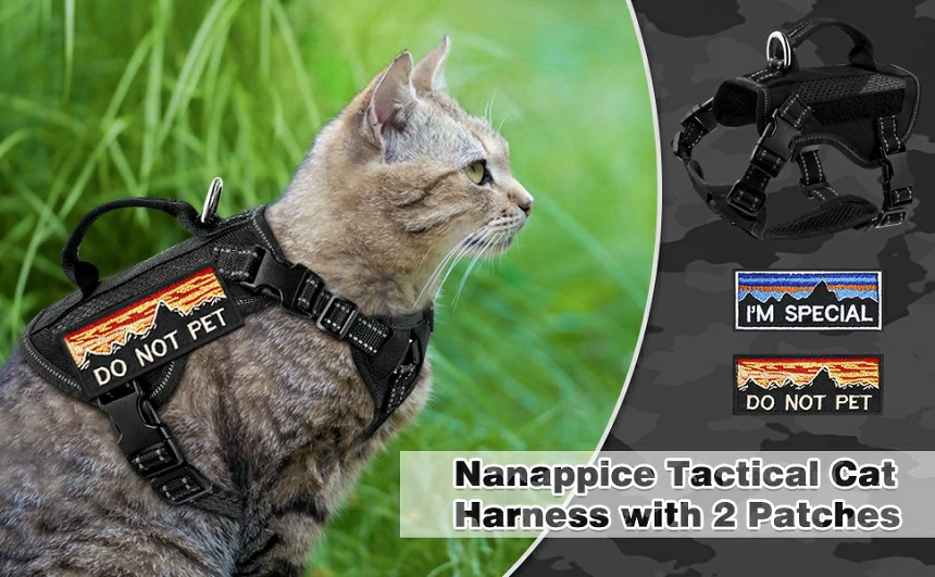 Top 8 Tactical Cat Harnesses to Keep Your Cat Cool This Summer