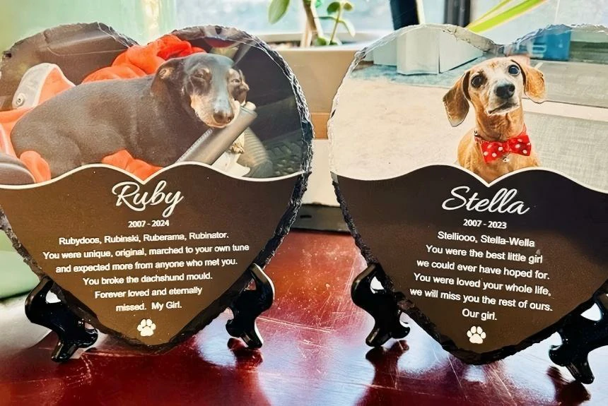 Engraving Ideas for Pet Memorial Stones: Words to Remember