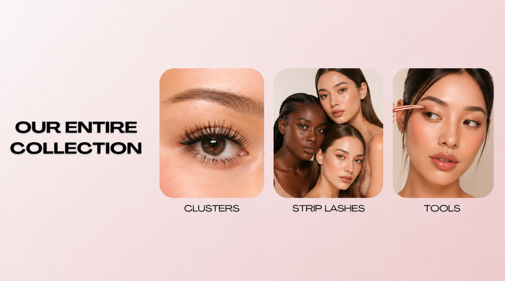 All Lash Products