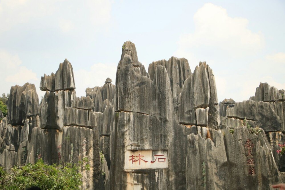 Stone Forest