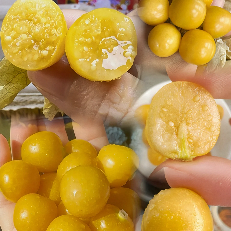 🍅 "Snacks" among fruits - 🤩Golden lantern fruit✨