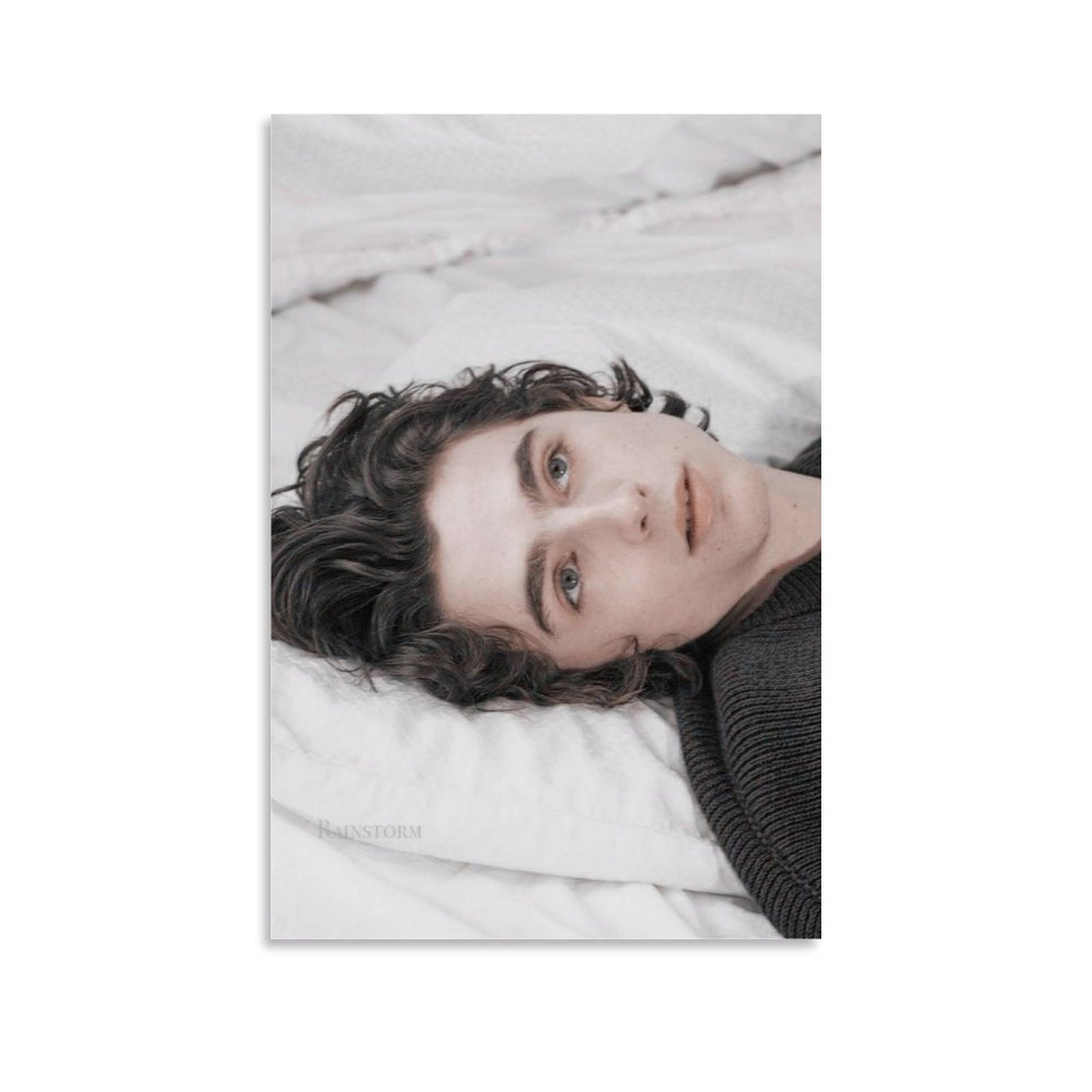  Timothee Chalamet Poster (49) Canvas Poster Bedroom