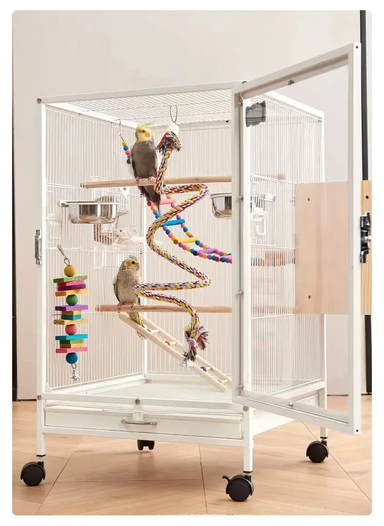 Birdcagelab | How to Choose the Right Material for Parrot Cages