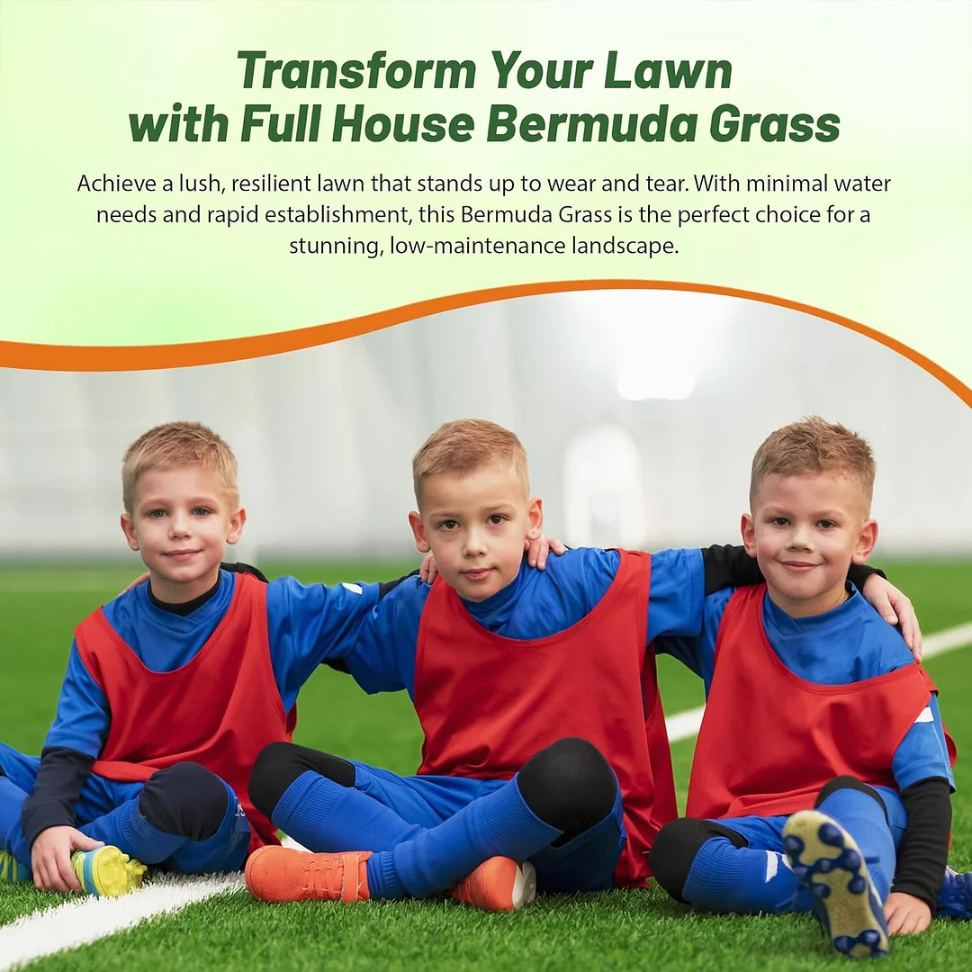 Full House Bermuda Grass Seed Blend