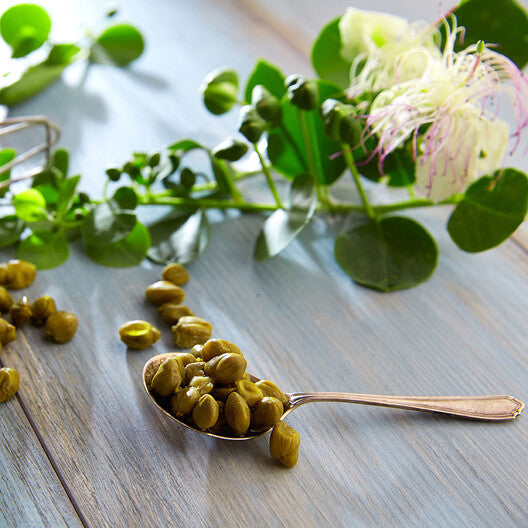 Caper Seeds