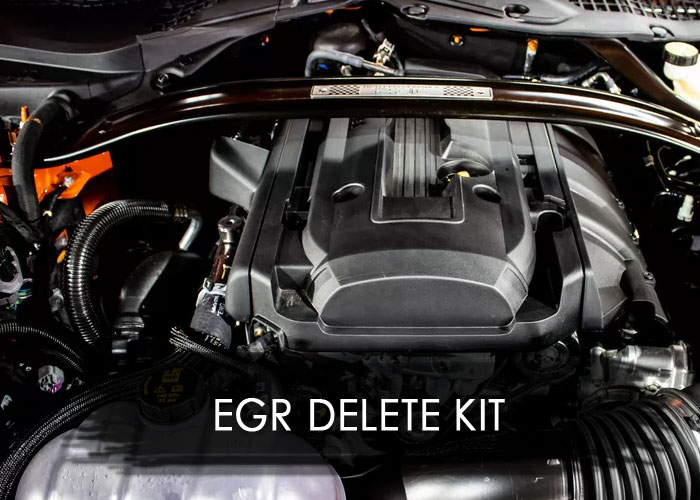 what is an EGR delete kit?