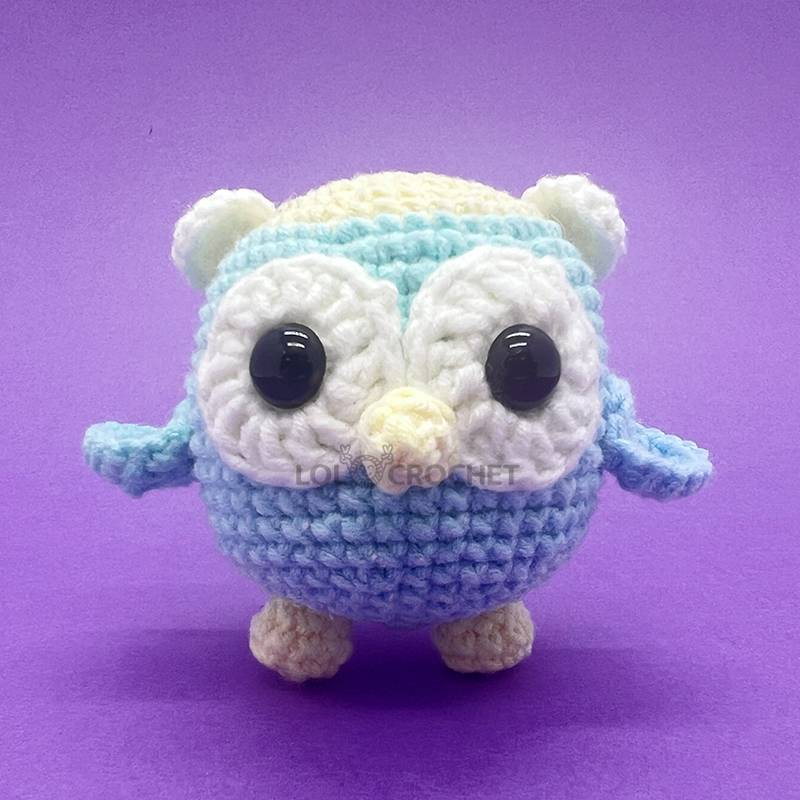Colorful Owl Crochet Kit for Beginners Animals Amigurumi Starter Set ...