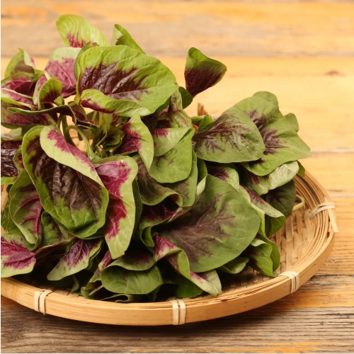 Amaranth Contains More Calcium Than Milk – A Must-Eat Summer Superfood