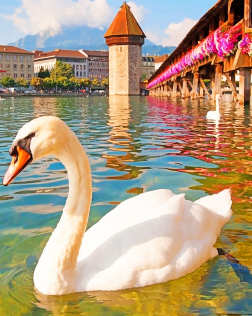 Swan In Chapel Bridge Switzerland – Paint By Numbers - 40*50CM, 501 Original
Swan In Chapel Bridge Switzerland – Paint By Numbers - 40*50CM, 501 Original