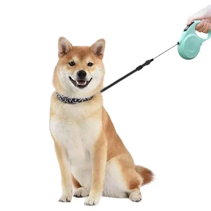 Dog Walking Leash