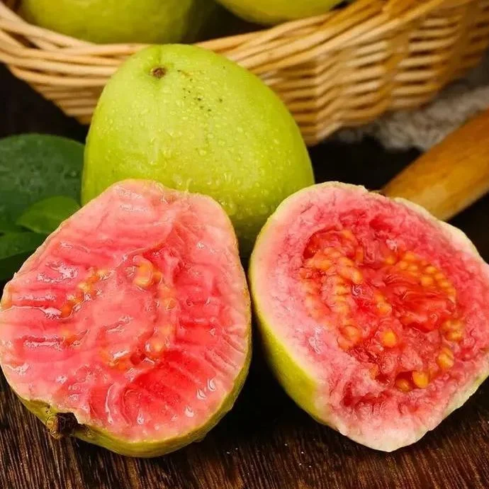 Strawberry Guava Seeds